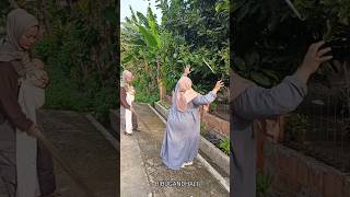 NGEJAR LAYANGAN MALAH NYURI MANGGA ORANG [upl. by Fifine]