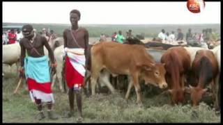 Livestock farmers Northern Kenya to benefit from Isiolo Abattoir [upl. by Melville]