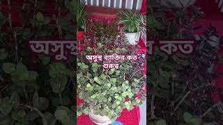 অসুস্থ হলে কত লাভ subscribe shorts waz shopnaakter1932 [upl. by Sewoll]