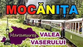 🚂Mocănița 🚃Valea Vaserului🏞️ Maramureș🇷🇴 Traseu complet 21km2 💃Program artistic🏡Satul MM 🐕Maxy ghid [upl. by Deyes]