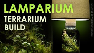 How I Made the Lamparium Terrarium [upl. by Hulda31]