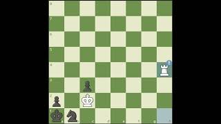 UNDERPROMOTION TO ROOK shorts chess checkmate chessscape [upl. by Publus204]