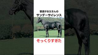 マンハッタンカフェの面白い雑学競馬 [upl. by Leugar511]