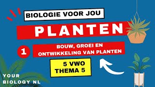 5 vwo  Planten  1  Bouw groei en ontwikkeling van planten [upl. by Legna]