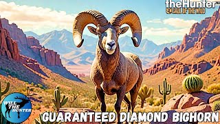 Guaranteed Diamond Bighorn Sheep On Rancho Del Arroyo  TheHunter Call Of The Wild [upl. by Heise]