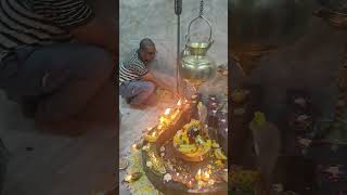 Karthika Pournami 365 Vattula Poojadevotionalytshortsindia [upl. by Akemet748]