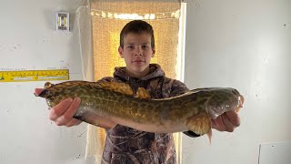 Easiest way to Clean An Eelpout Cooking and Cleaning How to Step By Step [upl. by Rramel]