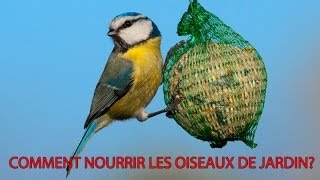 Oiseaux du jardin Sachez les nourrir [upl. by Embry560]