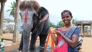 Mannargudi Rajagopalaswamy Temple  Mannargudi Vlogs [upl. by Heppman]