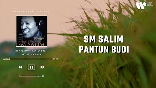 SM Salim  Pantun Budi Lirik Video [upl. by Eniawtna631]