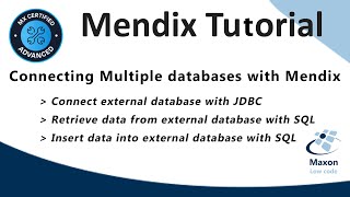 Connect Multiple Database with Mendix [upl. by Needan]