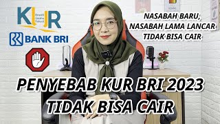 Penyebab KUR BRI 2023 Tidak Bisa Cair Untuk nasabah baru dan lama [upl. by Hansen704]