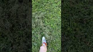 Grass VS Kick  RIP grass 😥😥😥 grass kick satisfying slowmotion shorts [upl. by Jorin]