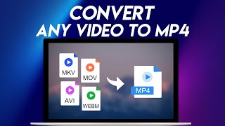 How to Convert Any Video to MP4 with Tips for Adjusting MP4 Codecs [upl. by Harihat]