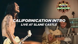 RHCP  Californication Intro Live At Slane Castle Guitar Cover [upl. by Anewor]