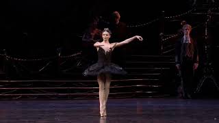 BTS BLACK SWAN ORCHESTRA BALLET [upl. by Rozalie]