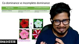 Codominance vs incomplete dominance  the difference between incomplete dominance and codominance [upl. by Marr]