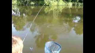 Catching Bream on the Method Feeder at Lydney Lake [upl. by Atin]