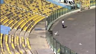 See this Steward in the 13 African games Accra 2023 [upl. by Atinid961]