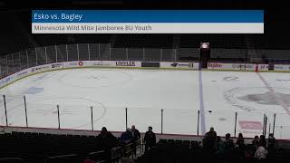 Minnesota Wild Youth Mite Holiday Jamboree [upl. by Geldens23]