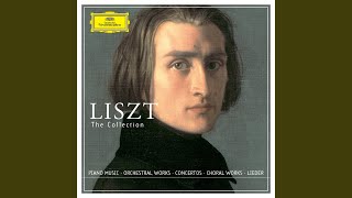 Liszt Totentanz S 525 [upl. by Banquer]