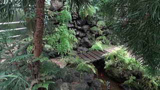 The Tropical Greenhouse at Pinetum Blijdenstein [upl. by Delwin]