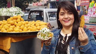 Delhi Street Food  Indian Street Food [upl. by Romain]