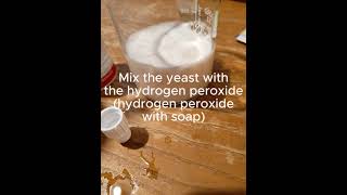 Hydrogen peroxide and yeast reaction [upl. by Needan]