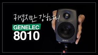 미디랩 TV제네렉의 모니터스피커 8010A의 리뷰 [upl. by Hnao]