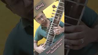 Bihag Practice on Sitar ramprapanna sitar surbahar SitarSurbahar IndianClassicalMusic Music [upl. by Findley]