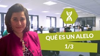 ¿Qué es un alelo 13  Biología  Bachillerato  digiSchool [upl. by Yanej]