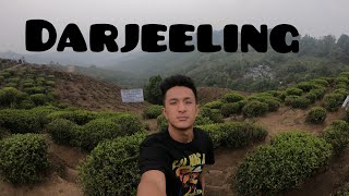 Siliguri to Darjeeling  one day trip darjeeling siliguri kurseong toytrain westbengaltourism [upl. by Lulu19]