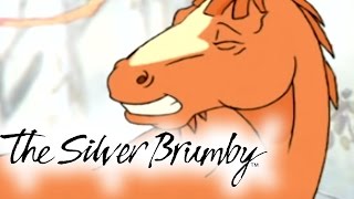 The Silver Brumby  Episodes 1620 2 HOUR COMPILATION HD  Full Episode [upl. by Karoline]