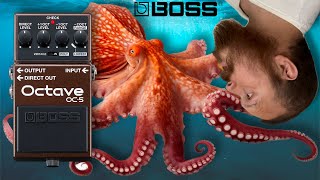 OctavePus No The Boss Octave OC5 My Dude [upl. by Alithia99]