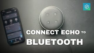 Connect Your Echo to Bluetooth Does it Work Without WiFi [upl. by Ayotol872]