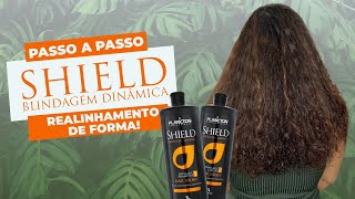 Shield Blindagem Dinâmica  Passo a passo [upl. by Ettesil873]