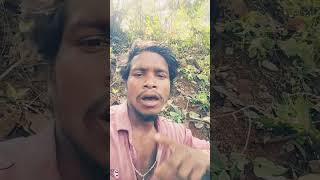 Banka jilashort viral videoSantali short viral video [upl. by Christina718]