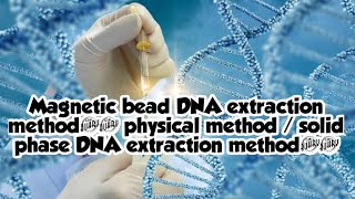 Magnetic bead DNA extractionPhysical solid phase DNA extraction method [upl. by Furie460]