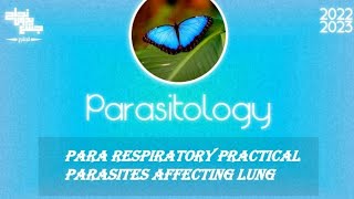 pract Paragonimushouse dust mite amp echinococcus granulosus amp larva affecting lung parasitology [upl. by Eussoj]