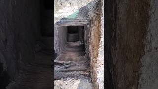 Sarasgad Fort Trek Hidden Cave सरसगड 🚩youtubeshorts ytshorts shorts short shortvideo forts [upl. by Suravart]