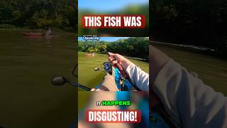 Most DISGUSTING Fish I’ve EVER SEEN riverfishing bassfishing kayakbassfishing [upl. by Ellekim776]