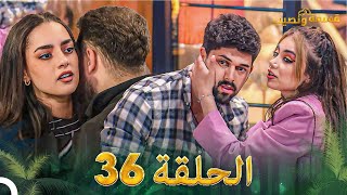 قسمة ونصيب الحلقة 36  Qesma w Naseeb [upl. by Agueda]