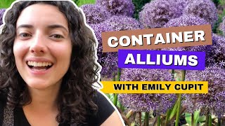 How To Grow Alliums In Pots With Emily Cupit [upl. by Mikeb119]