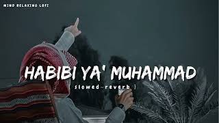 HABIB YA MUHAMMED ❤️❤️। islamic nasid। for MDquotABIR VAII [upl. by Trammel900]