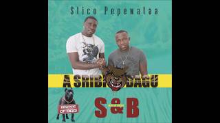 SampB Music Band  Stico Pepewata  A Sribie DaguHii Son Buuja [upl. by Sheepshanks]