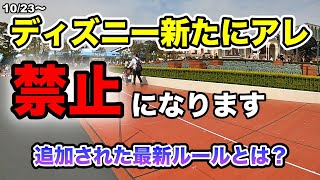 【厳罰化】バレたら強制退園禁止事項に〇〇追加！絶対に知っておきたいディズニー最新ルール！ [upl. by Boudreaux]