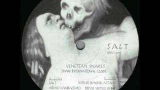 Venetian Snares  Mismo Canabalismo [upl. by Cilurzo]