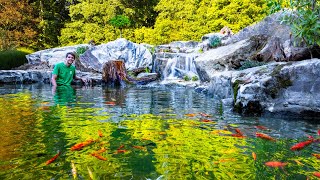 Making a Serene Waterfalls Mini Ecosystem Lake Feeder Goldfish Sanctuary [upl. by Minabe]