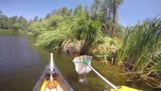 Horsethief Basin Canoe Electroshocking [upl. by Nelan]