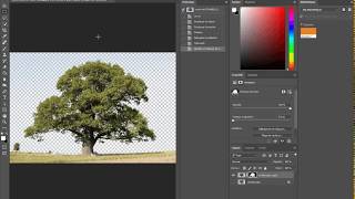 Photoshop tutoriel comment détourer un arbre [upl. by Tteragram]